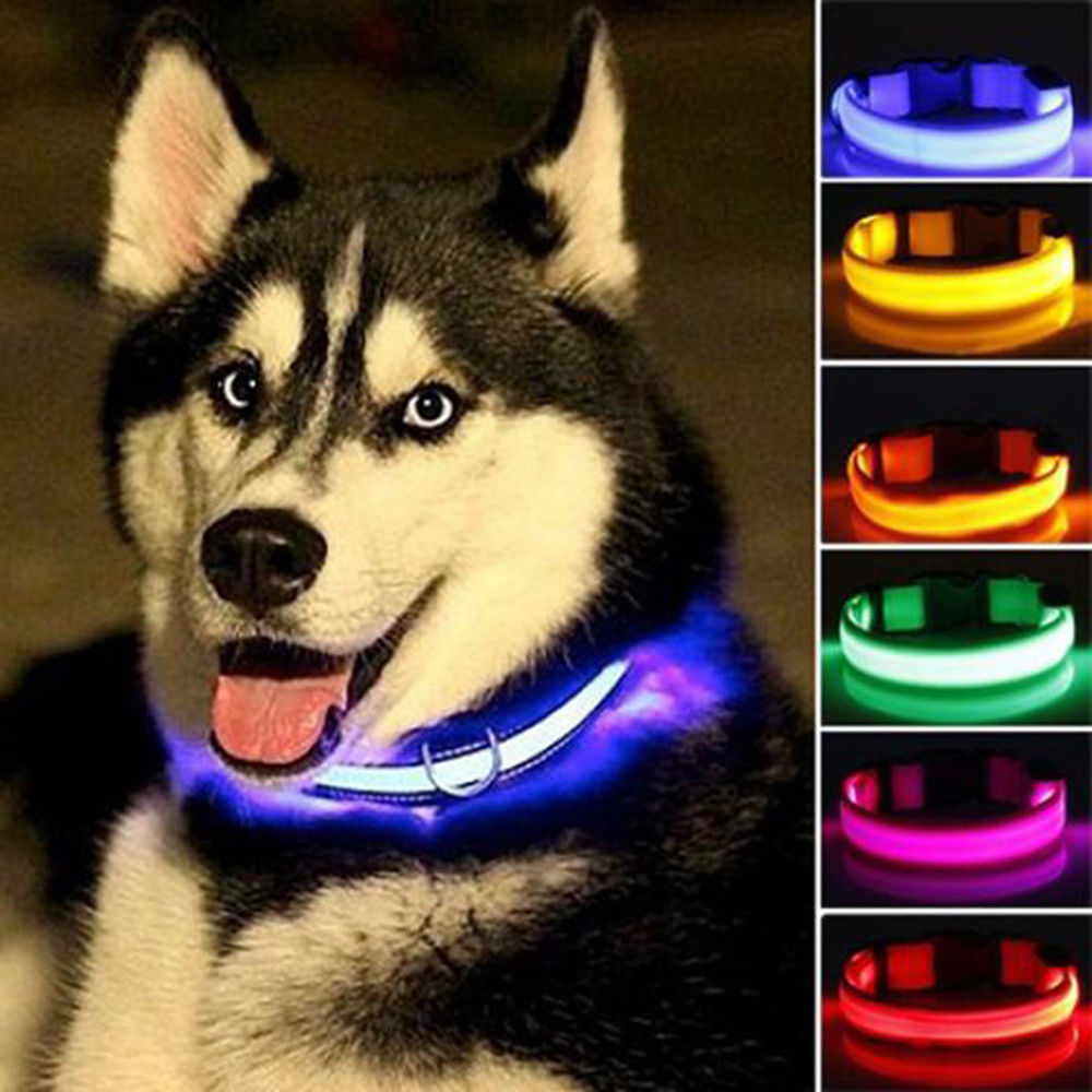 2 PCS LED Dog Collar Set – USB Rechargeable, Nylon, Flashing Safety Collar for Night Walking