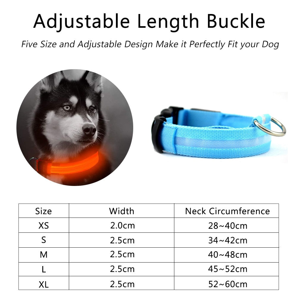 2 PCS LED Dog Collar Set – USB Rechargeable, Nylon, Flashing Safety Collar for Night Walking